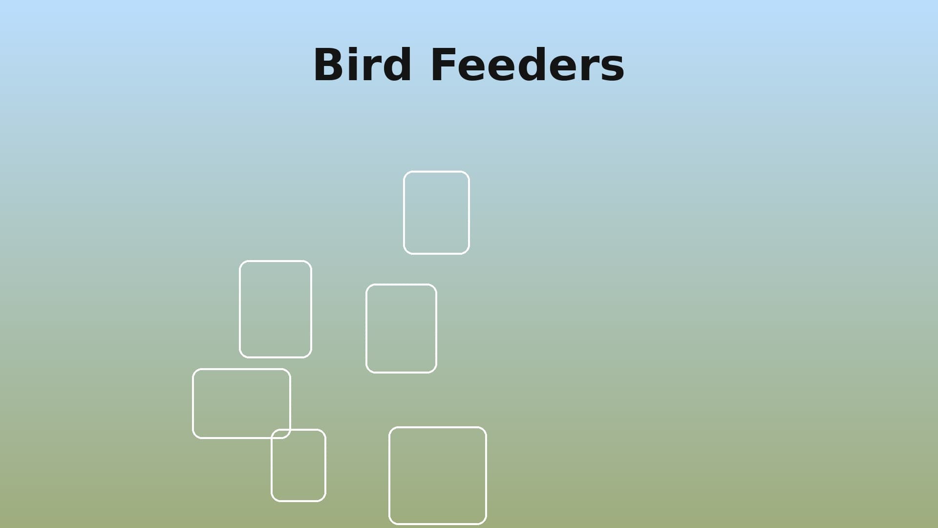 Bird Feeders